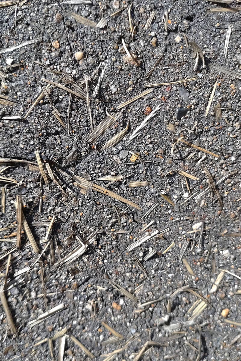 仁井田本家 蔵・倉庫｜野田左官店