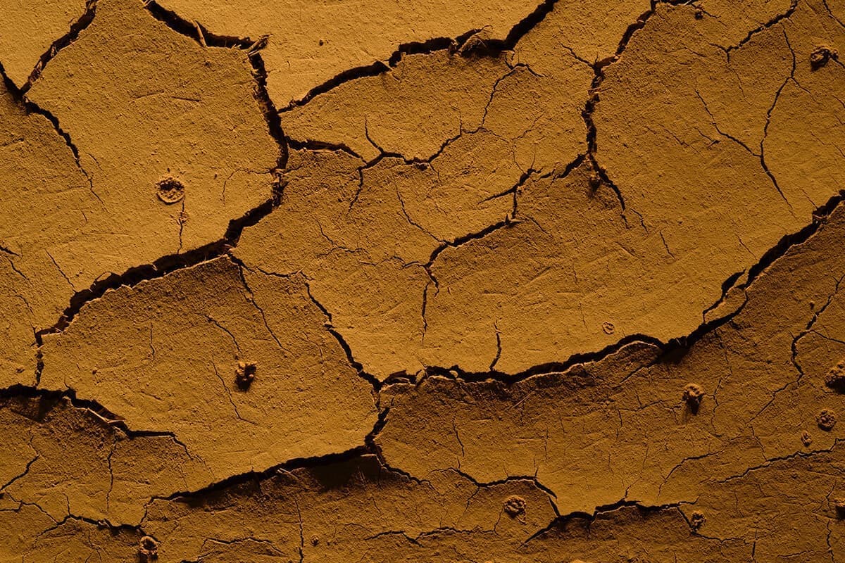 THE KNOT SAPPORO｜野田左官店