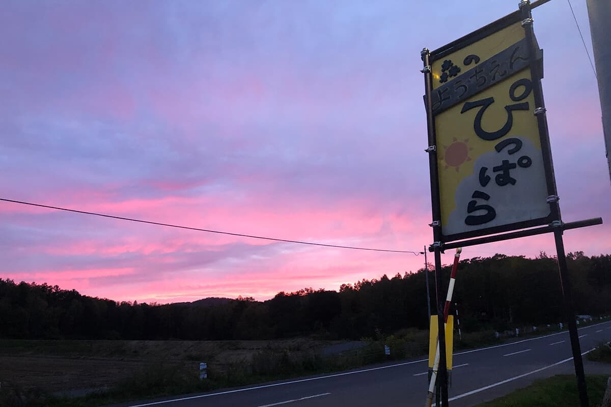 森のようちえんひっぱら｜野田左官店