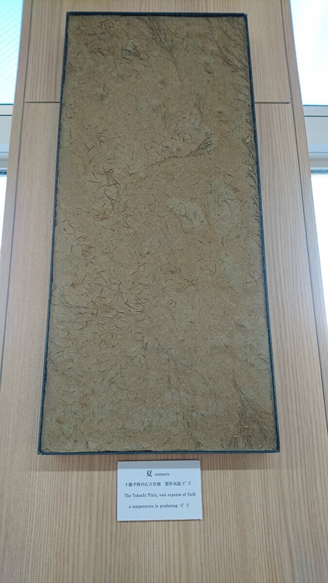 とかち帯広空港｜野田左官店