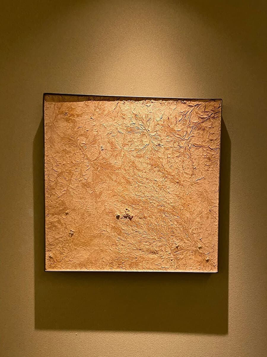 野田肇介左官｜翠巌