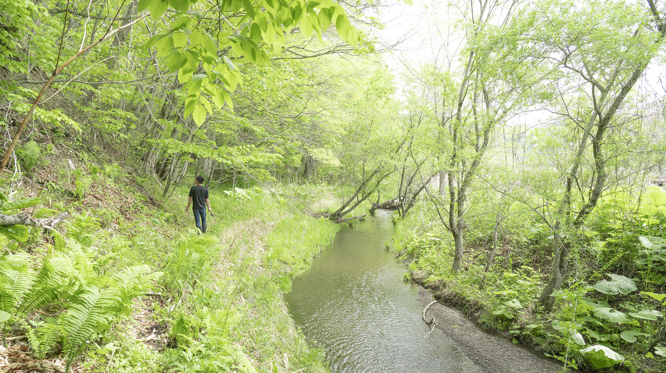 株式会社 野田肇介左官｜北海道浦河町